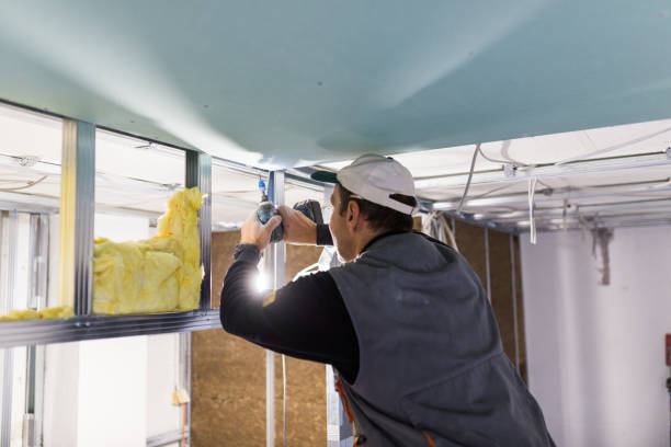 Types of Insulation We Offer in White Plains, NC