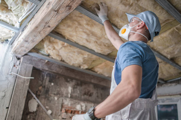 Best Eco-Friendly Insulation in White Plains, NC